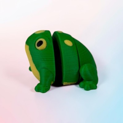 Flexi Grenouille