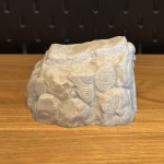 Cachette à Reptile Aztèque - Cachette reptile terrarium 3D