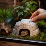 Cachette à Reptile Aztèque - Cachette reptile terrarium 3D