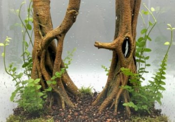 Tronc et racine imprimés en 3D dans un terrarium tropical