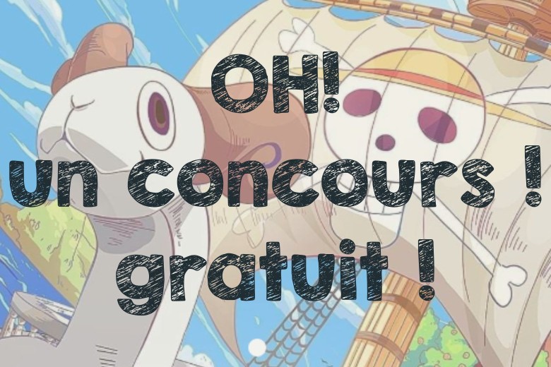 Nuit One Piece - Notre premier jeu concours Nuit One Piece - Notre premier jeu concours